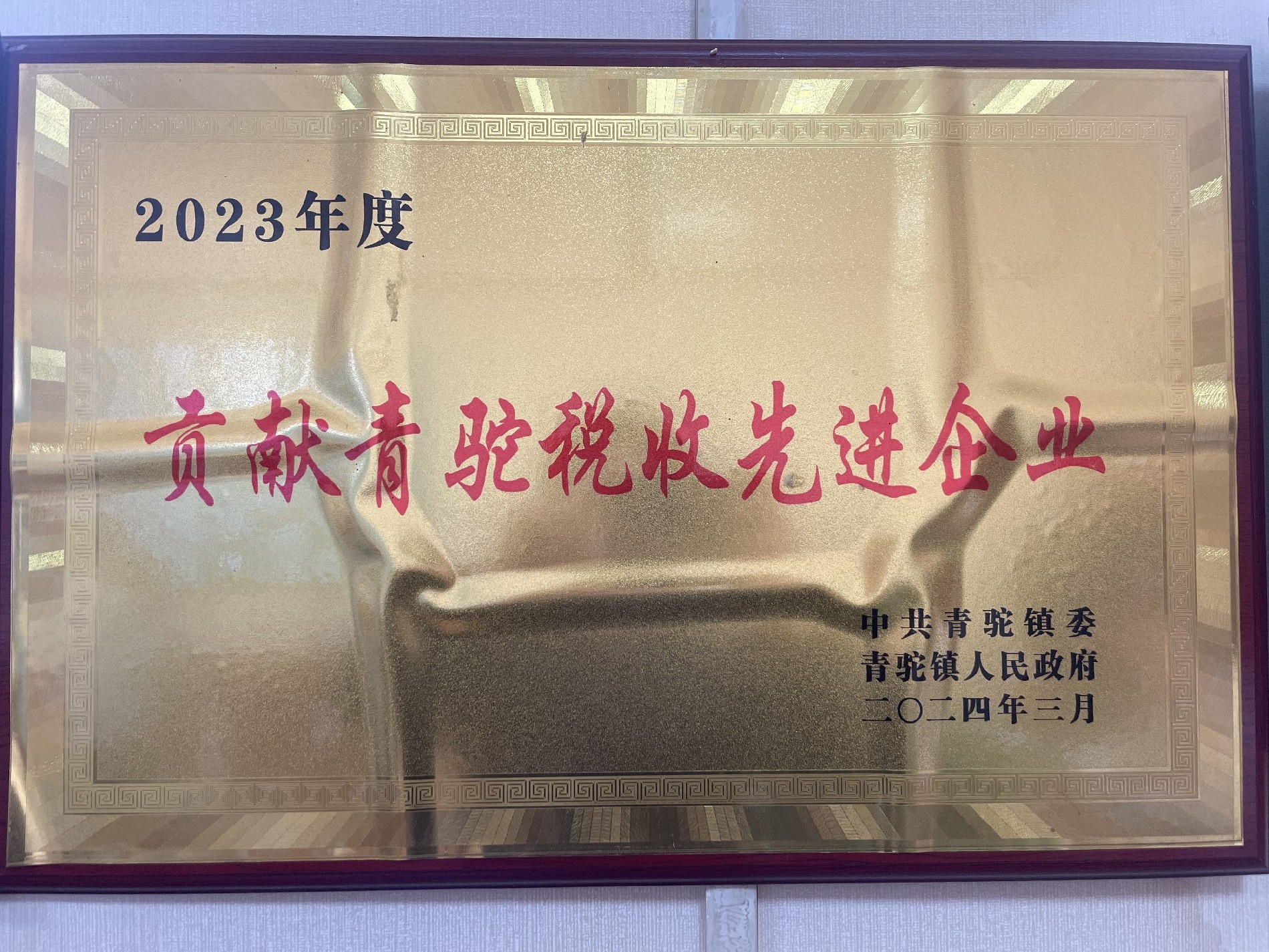 2023年度貢獻(xiàn)青駝稅收先進企業(yè)